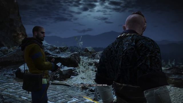 2025 the wither 3 #58