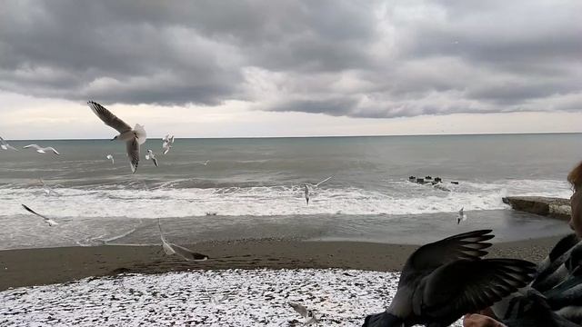 Как это было 5 лет назад в Адлере смотреть онлайн
