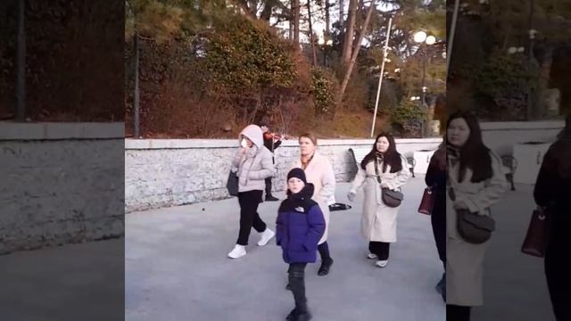 скрипач на набережной