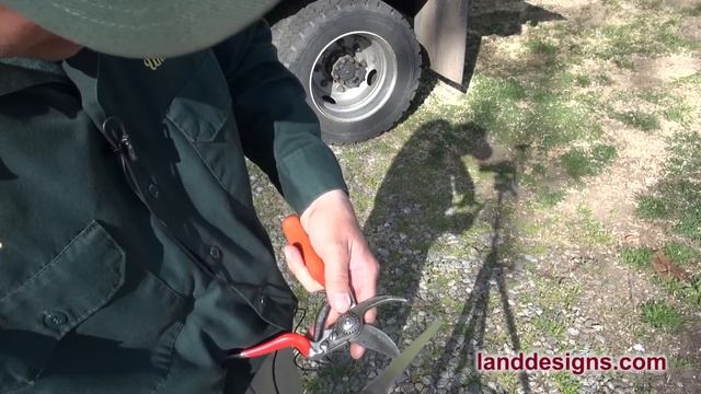 How to Sharpen Pruning Shears Video - SCARY SHARP PRUNING SHEARS смотреть онлайн