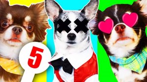 НЕОЖИДАННЫЕ ПОДАРКИ ДЛЯ ЮМИЧУ! ЭЙВАН ГОТОВИТ СЮРПРИЗ, МИША СЛУШАЕТ НОВЫЙ ХИТ СОФИ🎶🎈