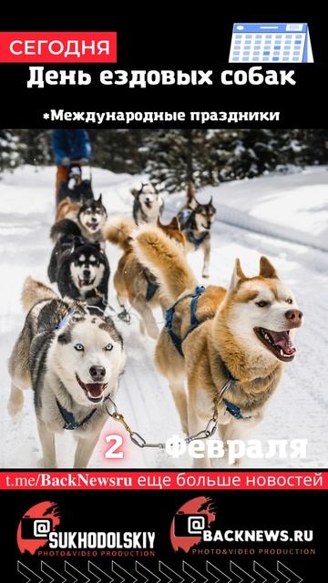 Сегодня, 2 ФЕВРАЛЯ, День ездовых собак
