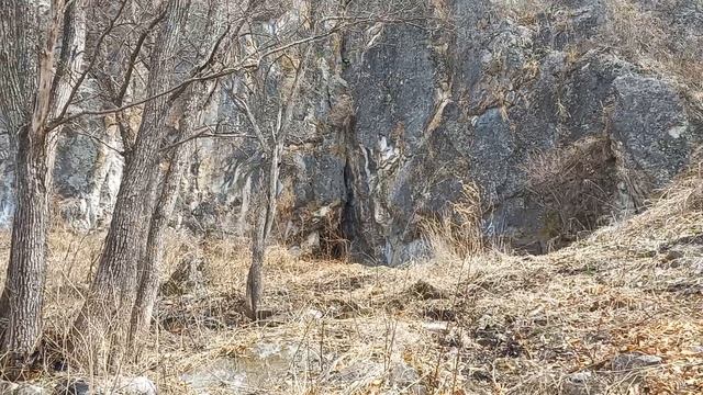 1000234005.mp4 смотреть онлайн