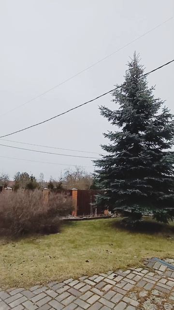 Дом в Петергофе в 15 мин от фонтана Самсон на участке ИЖС 12 сот газ вода канализация электричество смотреть онлайн