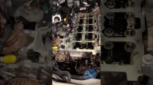 Замена цепи и ремня ГРМ  на автомобиле DS7 2020г.в.  Мотор 1.5 HDI