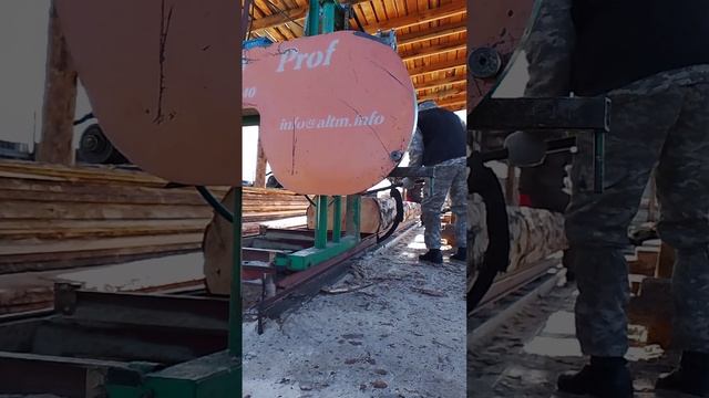 Распил 6 метровой сосны на 58 смотреть онлайн