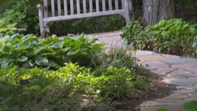 Spirited Sentiment - Hosta's Needs смотреть онлайн