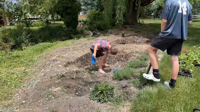 Kill Invasive English Ivy Ground-cover! Planting Lots of Zinnias for Cutting. 🌸🌸🌸 //FlowerFanatic смотреть онлайн