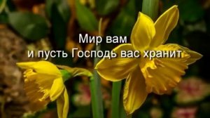 Мир вам! Христианское караоке