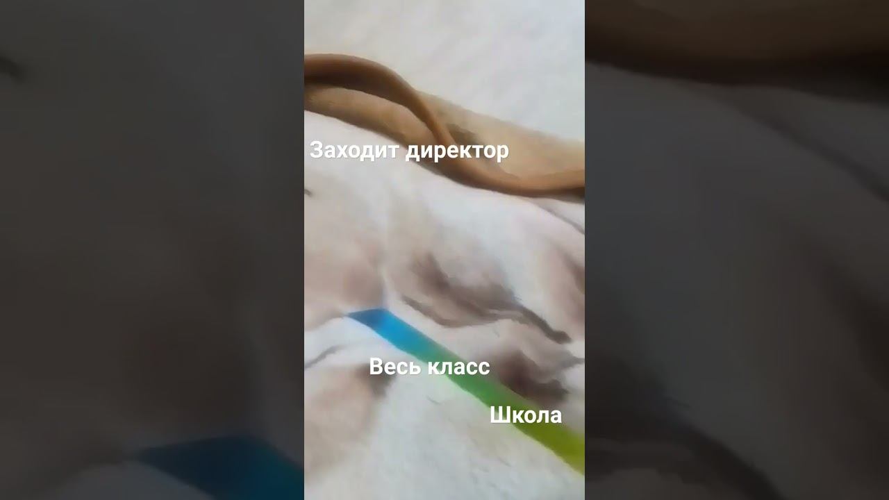 блин не добили школу смотреть онлайн