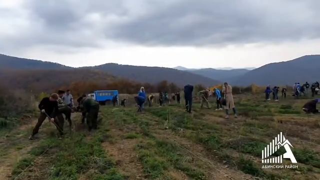 1700 саженцев ясеня высадили участники Всероссийской акции «Сохраним лес» в Хабльском карьере смотреть онлайн