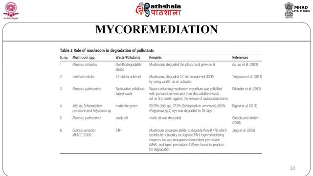 M-05. Bioremediation смотреть онлайн