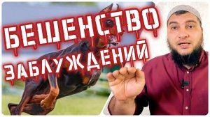 Бешенство заблудших