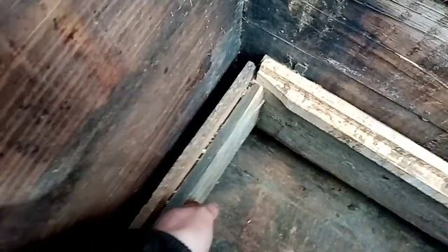 Тип ульев который я использую у себя на пасике 🐝🐝🐝🐝 смотреть онлайн
