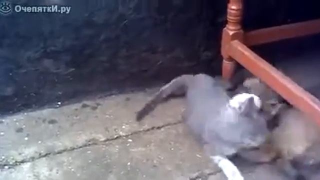 Смертельная схватка смотреть онлайн