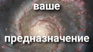 Предназначение. Регрессивный гипноз.