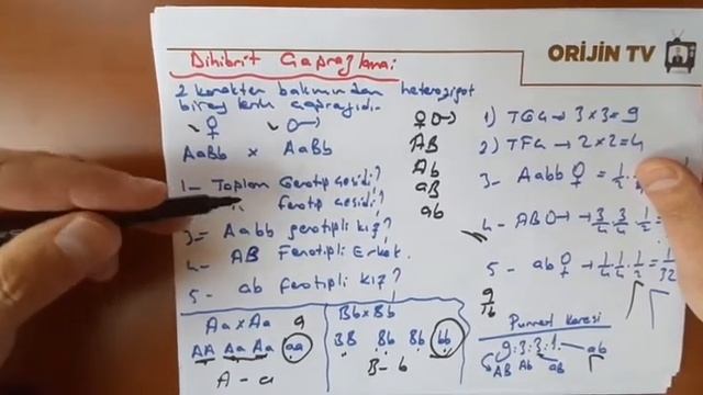 12B 12C 11.sınıflar 10.sınıflar Kalıtım konusu смотреть онлайн
