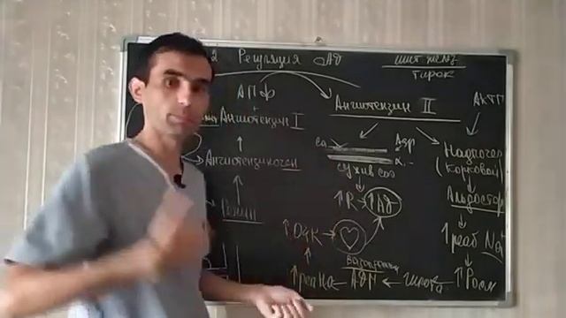 42 СЕРДЦЕ РЕГУЛЯЦИЯ АД смотреть онлайн