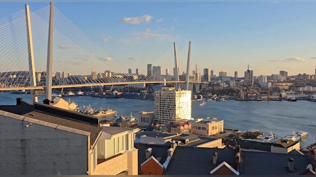 Местный житель изучает сопки Владивостока. Алексеевская сопка смотреть онлайн