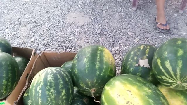 КУДИ ДІЛИСЯ ПОМІДОРИ 🤥🍅??? ЦІНИ на оптовому ринку у Виноградові Закарпатської області смотреть онлайн