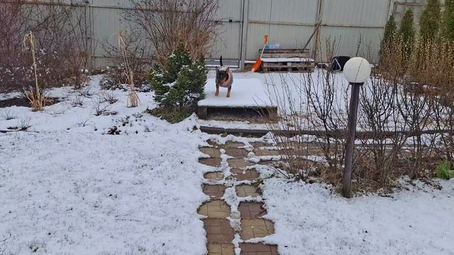 #29 Зима вернулась, хорошо, что только до обеда. Пора уезжать.