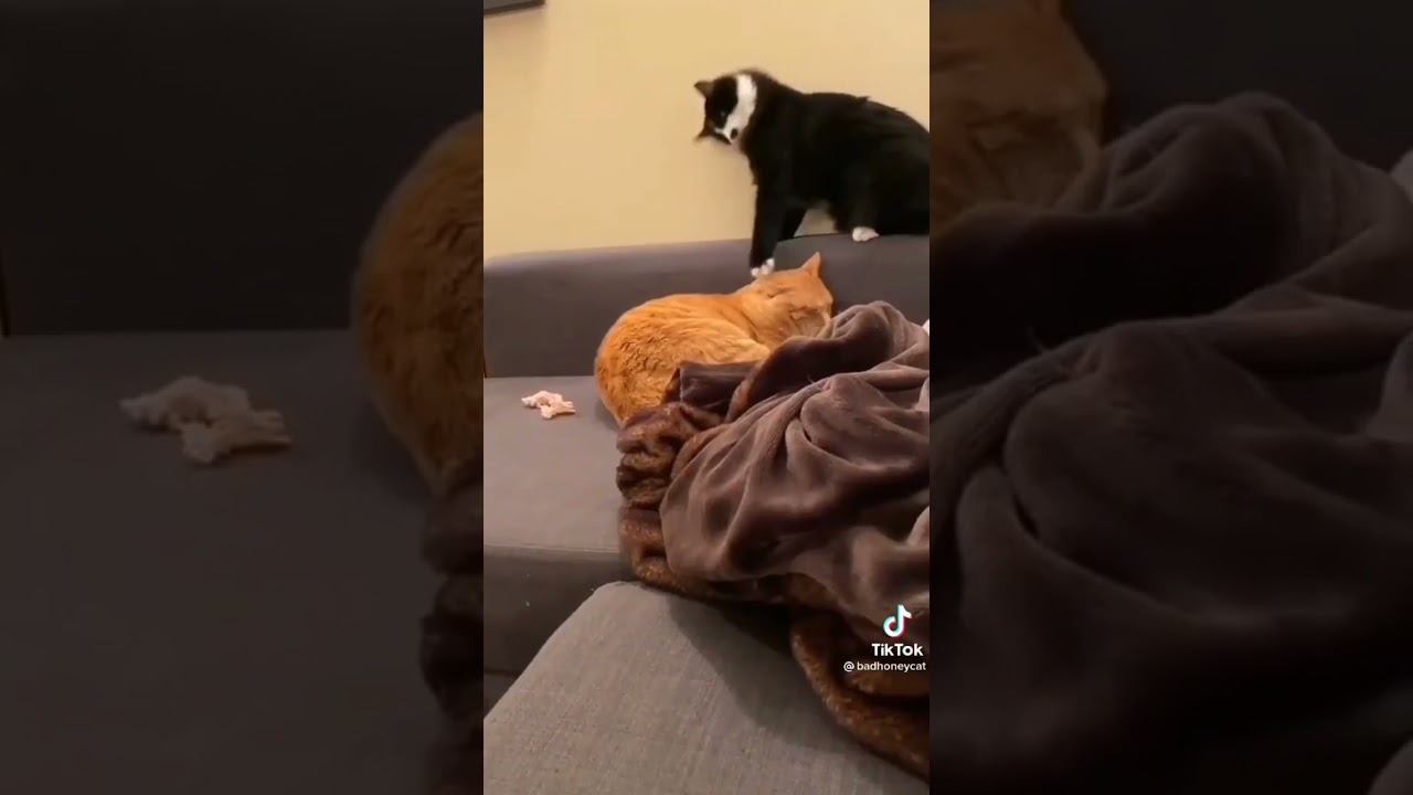 @ilyamin7798 смотреть онлайн