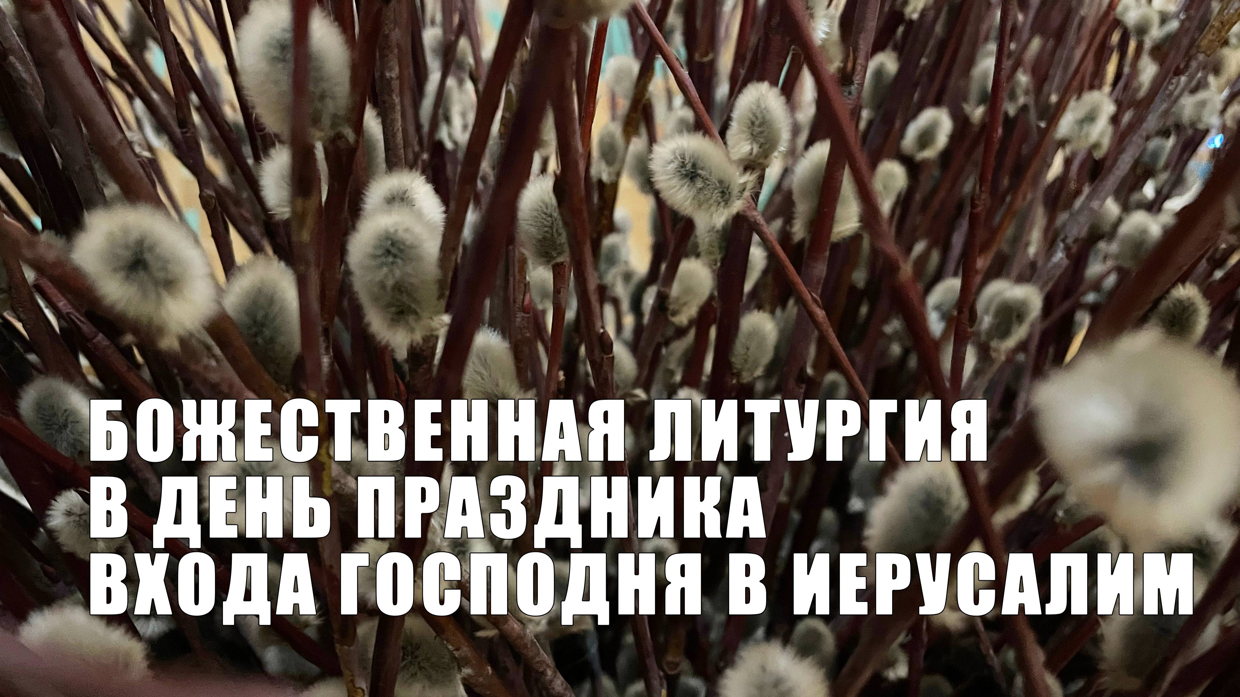 Литургия в день праздника Входа Господня в Иерусалим смотреть онлайн