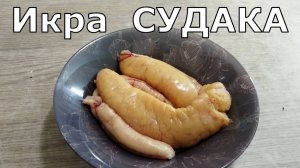 Как приготовить ИКРУ СУДАКА: Как СОЛИТЬ ИКРУ.