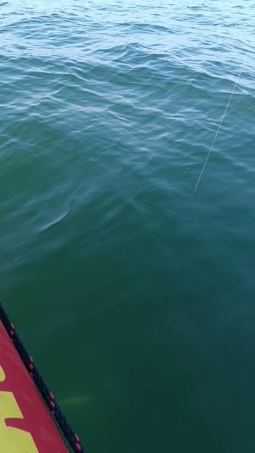 треска смотреть онлайн