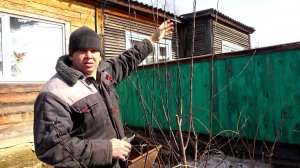 Про домашние хлопоты,  хитрую крысу и первые покатушки