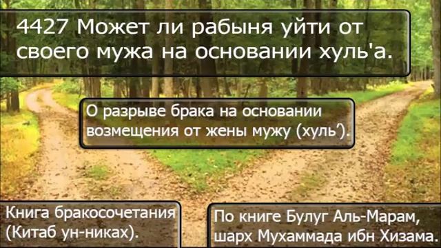 4427 Может ли рабыня уйти от своего мужа на основании хуль'а смотреть онлайн