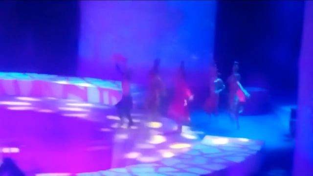 Выступление семьи слонов (короткое видео) смотреть онлайн