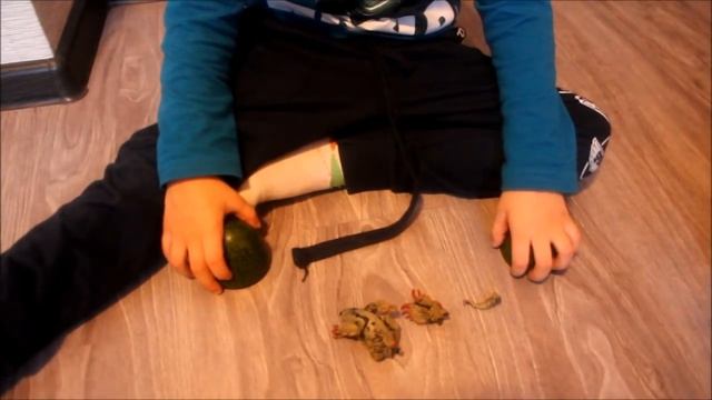 Dinosaur eggs & Giant T-Rex | Dinosaurs for kids video | Jurassic Park & GIANT LIFE SIZE смотреть онлайн
