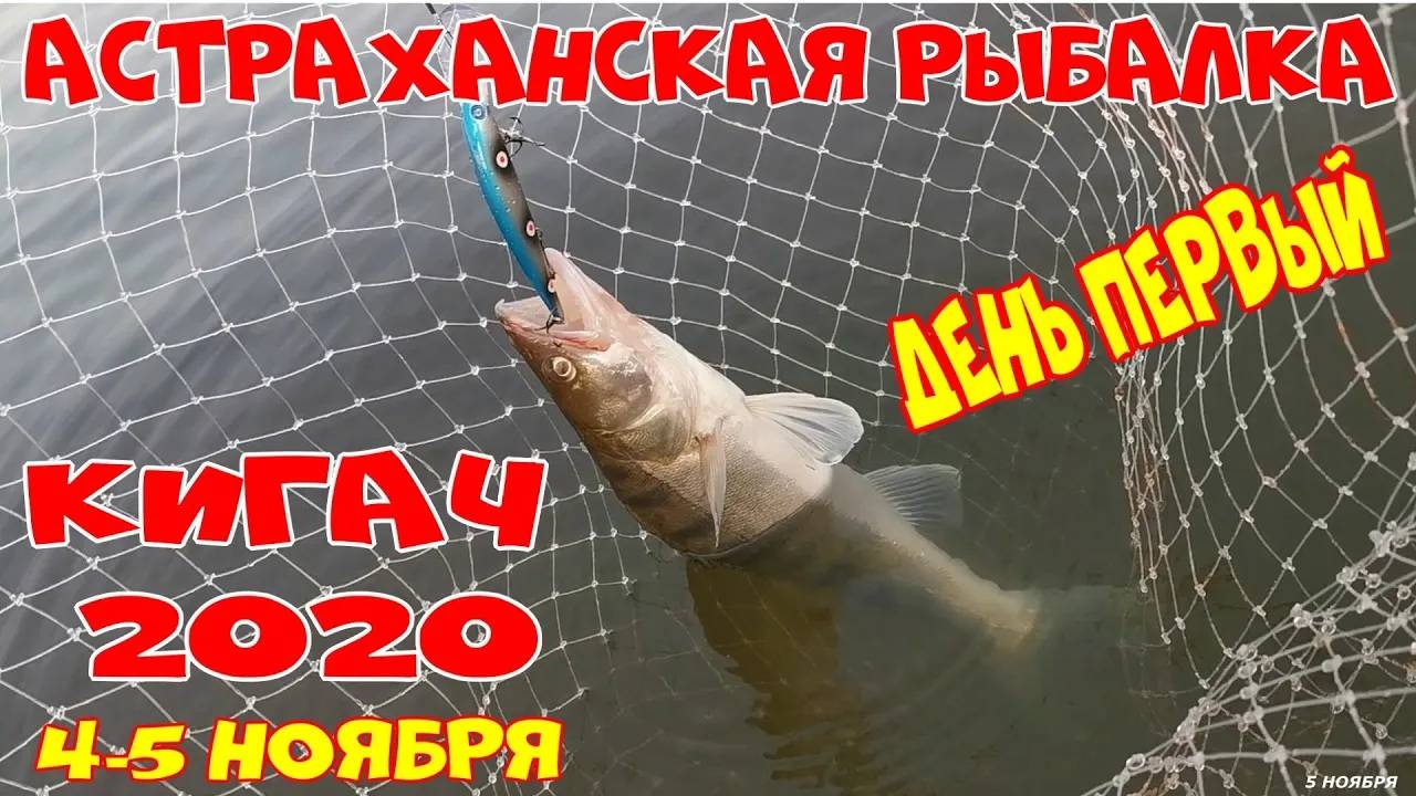 АСТРАХАНСКАЯ РЫБАЛКА. КИГАЧ 2020 НОЯБРЬ
