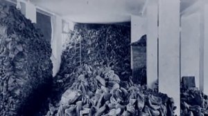 Помни, не забудь!