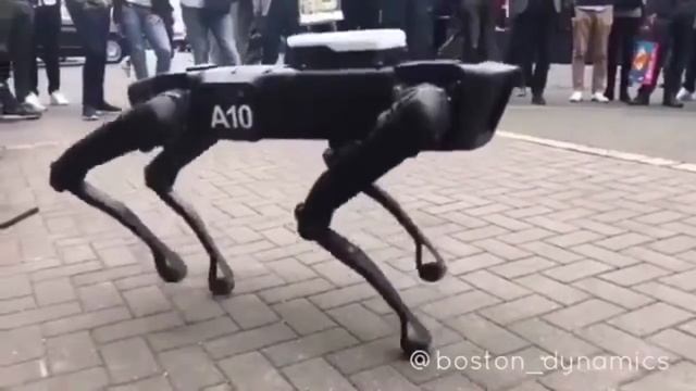 Пёсик SpotMini смотреть онлайн