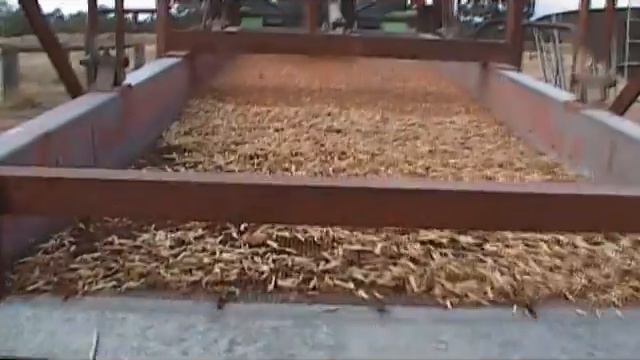 Grading Sorghum смотреть онлайн