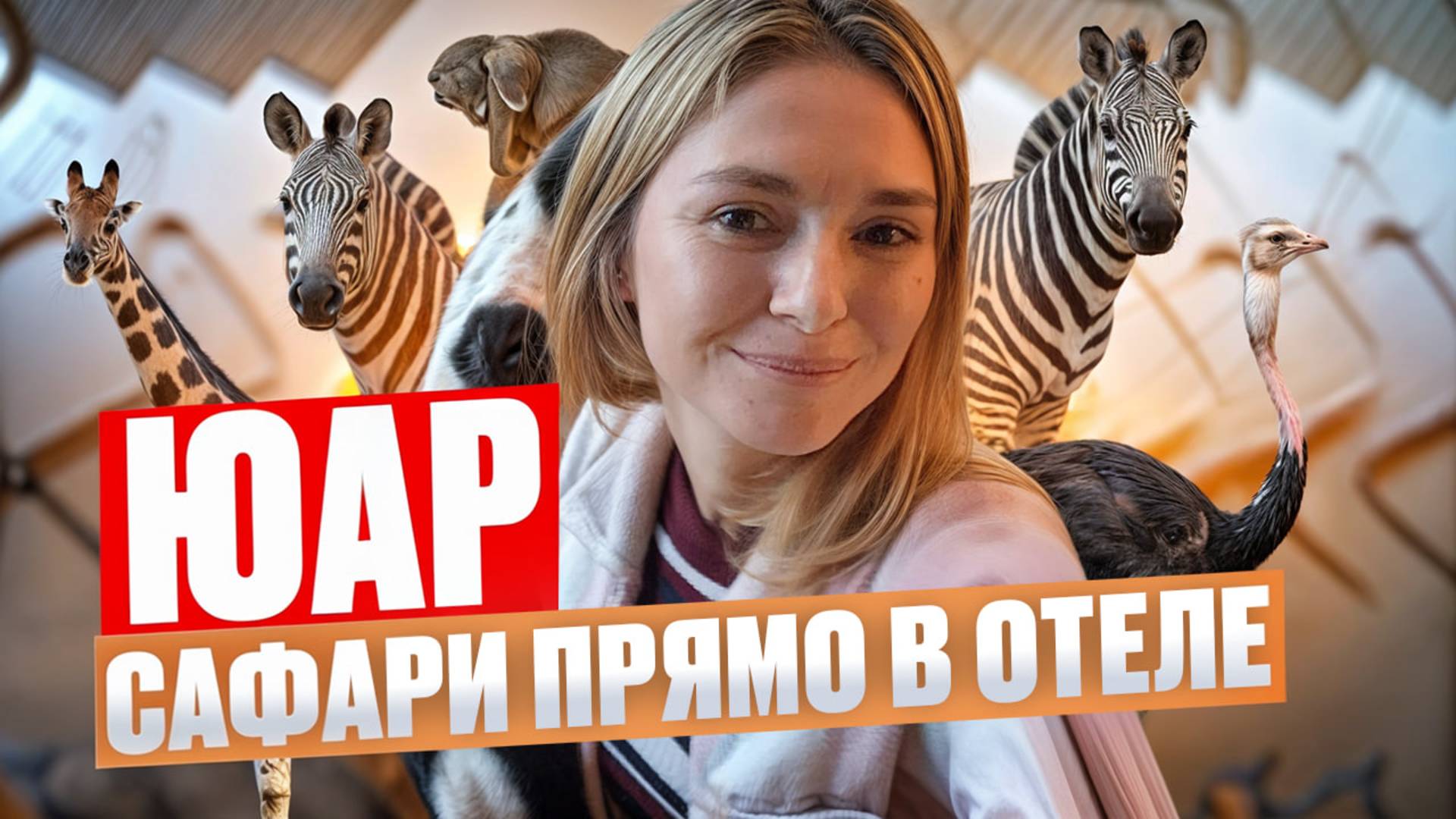 ЮАР. Сафари в ЮАР: дикие животные прямо из такси. Как мы сутки остались без воды и электричества