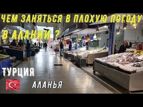 Аланья Турция.  Рыбный рынок Алании. Чем заняться в плохую погоду в Алании?