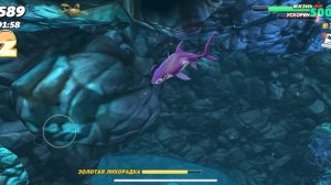 Игра в акулу рыба молот