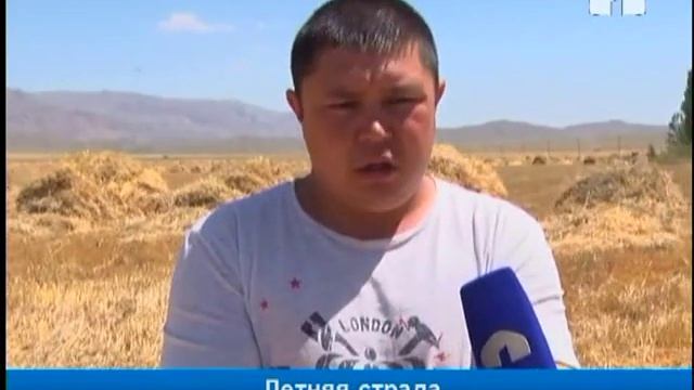 В Баткенской долине летняя страда смотреть онлайн