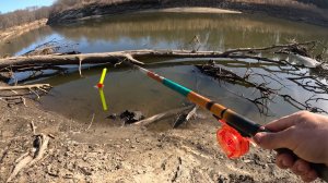 ЭТОТ КОРЯЖНИК ЗАБИТ РЫБОЙ. КЛЁВ ТОЛЬКО КИДАЙ. Рыбалка на поплавок и донку в 2025 без рекл