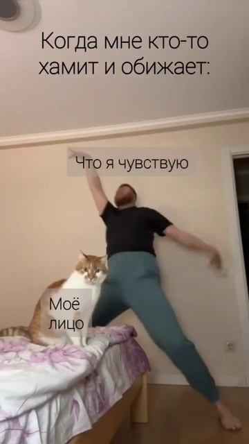Ну ты же девочкааа #юмор