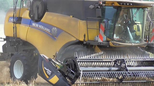 Harvest 2019 | New Holland CX8.90 combine harvester with MacDon FD135 header смотреть онлайн