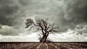 Великий Понедельник.Страстная седмица.