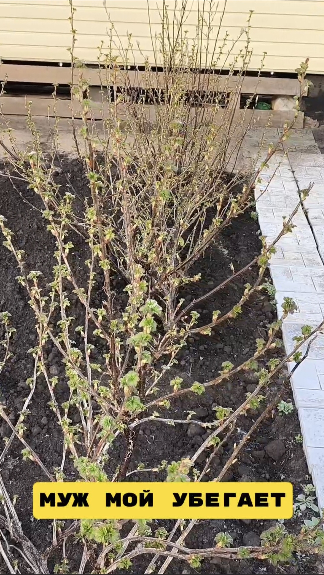 Зеленеет травка смотреть онлайн