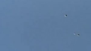 Старониколаевские торцовые голуби Фильм 11 Тренировочные полёты