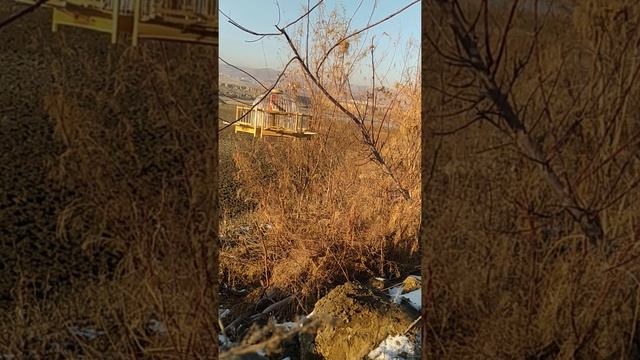 сава овидамиз смотреть онлайн