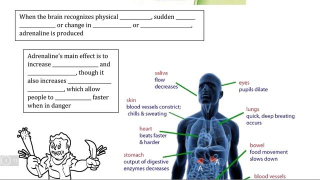 Nervous System III, Video III - Adrenaline смотреть онлайн