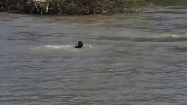Кинодан парча ота бола чангалда😥 смотреть онлайн
